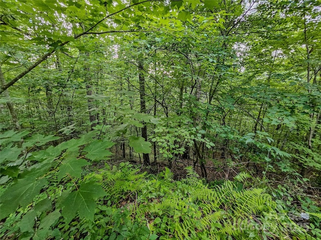 000 Windy Hill Dr Unit 8, Waynesville, NC 28785 - photo 21