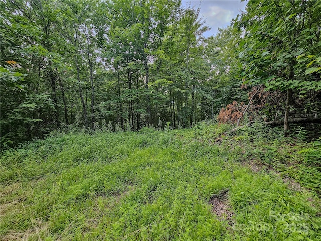 000 Windy Hill Dr Unit 8, Waynesville, NC 28785 - photo 22