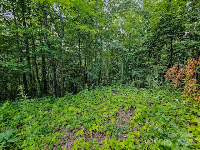 000 Windy Hill Dr Unit 8, Waynesville, NC 28785 - photo 23