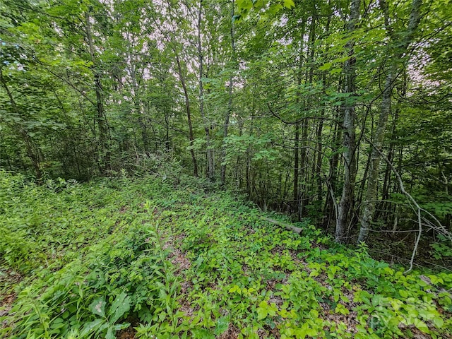 000 Windy Hill Dr Unit 8, Waynesville, NC 28785 - photo 24