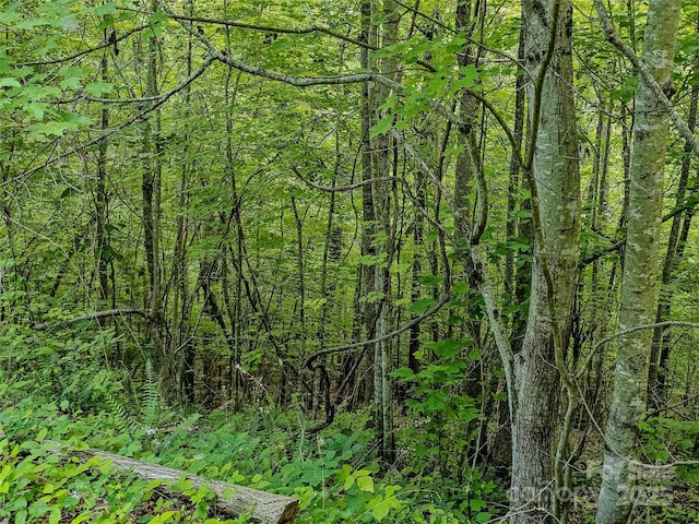 000 Windy Hill Dr Unit 8, Waynesville, NC 28785 - photo 25