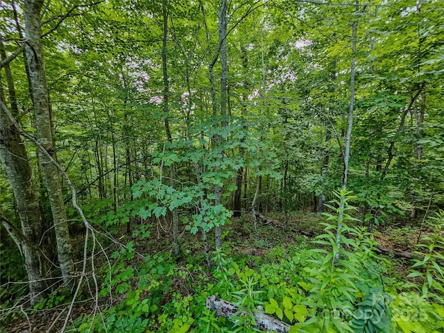 000 Windy Hill Dr Unit 8, Waynesville, NC 28785 - photo 26