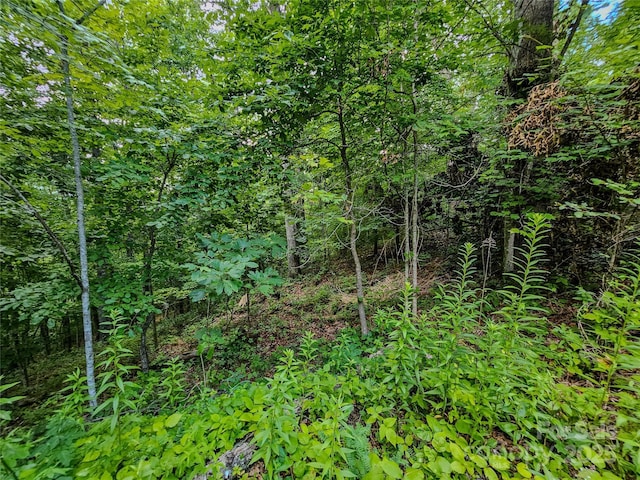 000 Windy Hill Dr Unit 8, Waynesville, NC 28785 - photo 27