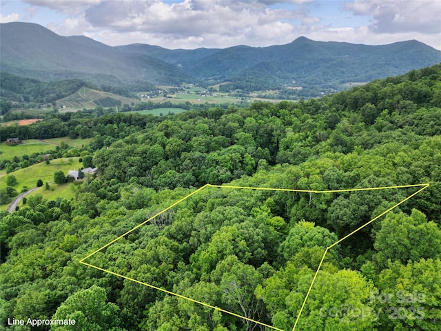 000 Windy Hill Dr Unit 8, Waynesville, NC 28785 - photo 1