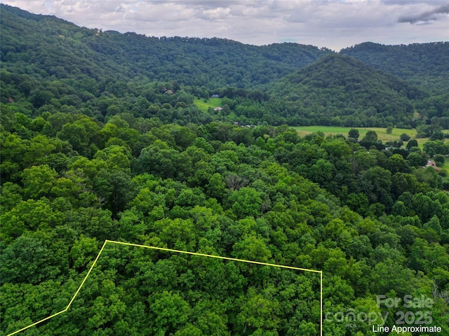 000 Windy Hill Dr Unit 8, Waynesville, NC 28785 - photo 5