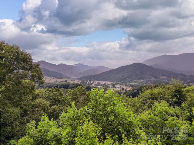 000 Windy Hill Dr Unit 8, Waynesville, NC 28785 - photo 6