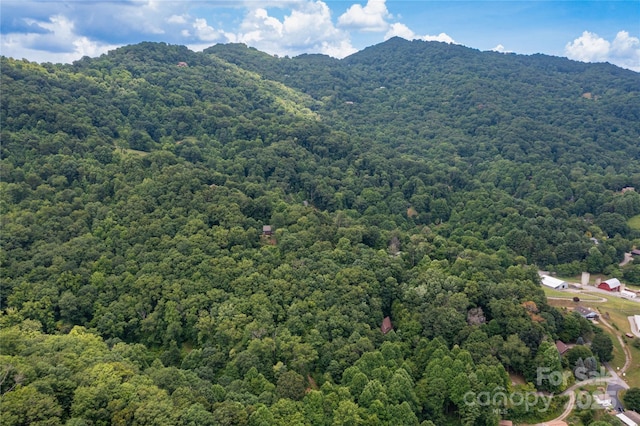 000 Windy Hill Dr Unit 8, Waynesville, NC 28785 - photo 7