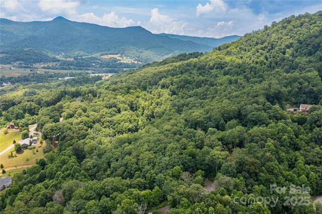 000 Windy Hill Dr Unit 8, Waynesville, NC 28785 - photo 8