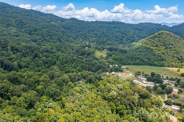 000 Windy Hill Dr Unit 8, Waynesville, NC 28785 - photo 9