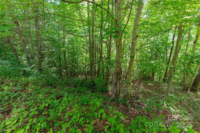 000 Windy Hill Dr Unit 8, Waynesville, NC 28785 - photo 10