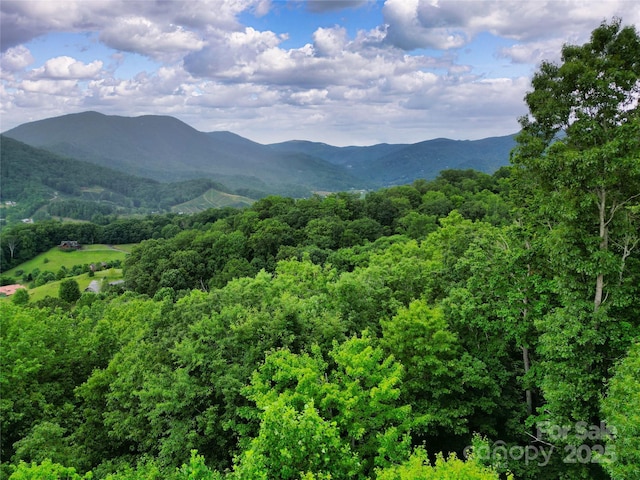000 Windy Hill Dr Unit 8, Waynesville, NC 28785 - photo 11