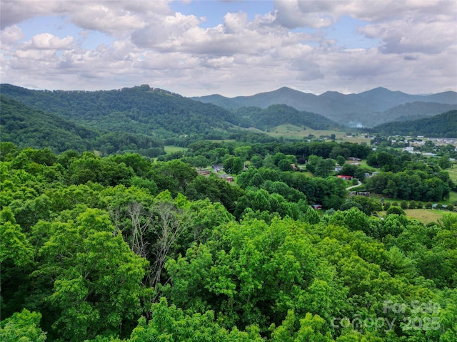 000 Windy Hill Dr Unit 8, Waynesville, NC 28785 - photo 12