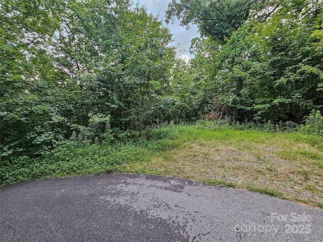 000 Windy Hill Dr Unit 8, Waynesville, NC 28785 - photo 13