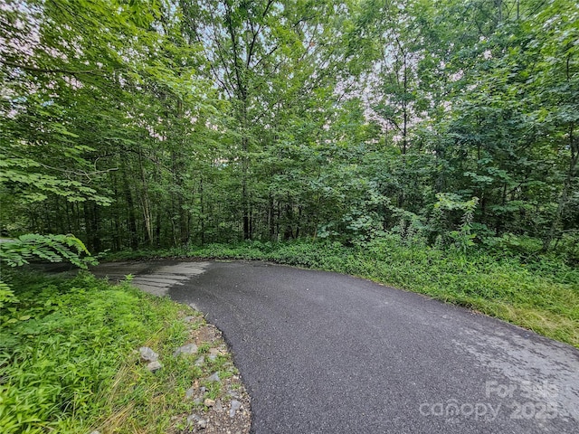 000 Windy Hill Dr Unit 8, Waynesville, NC 28785 - photo 14