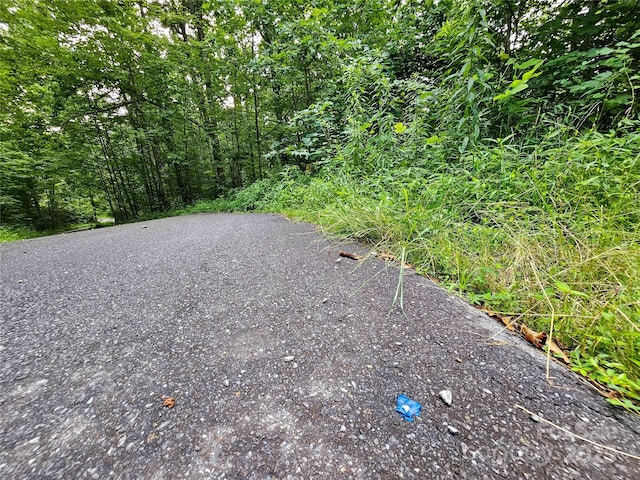 000 Windy Hill Dr Unit 8, Waynesville, NC 28785 - photo 15