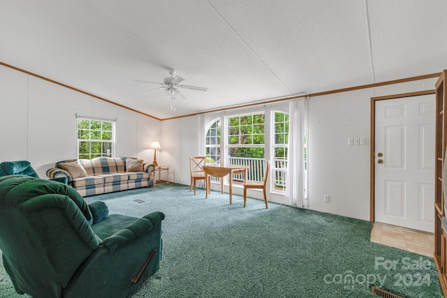 living room featuring ceiling fan, ornamental molding, and carpet floors