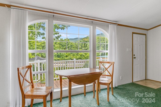 carpeted dining area with a mountain view