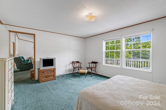 bedroom featuring carpet