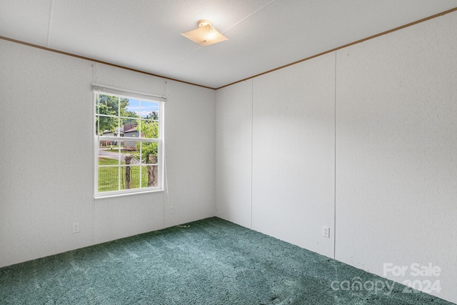 carpeted empty room featuring ornamental molding