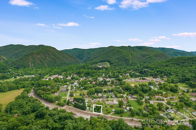 view of mountain feature