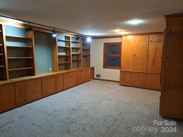 unfurnished living room with a textured ceiling and light colored carpet