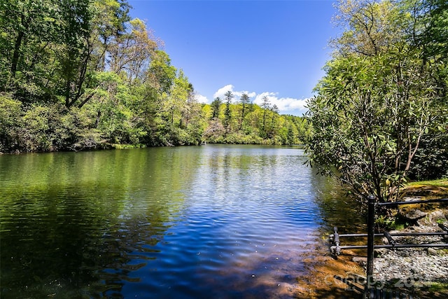 Listing photo 3 for TBD Indian Lake Rd Unit 21, Lake Toxaway NC 28747