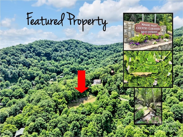 391 Valley View Dr, Maggie Valley NC, 28751 land for sale