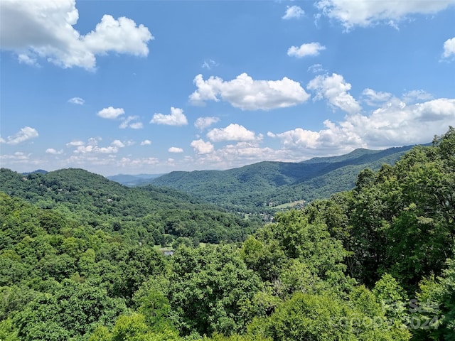 Listing photo 3 for 391 Valley View Dr, Maggie Valley NC 28751