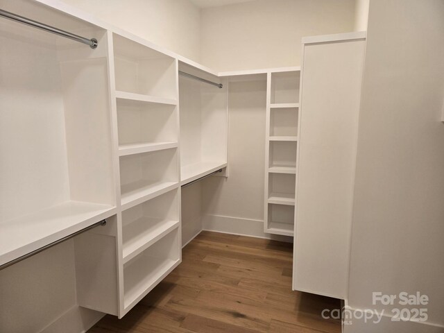 walk in closet featuring dark hardwood / wood-style flooring