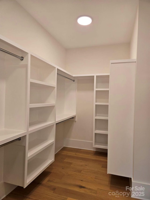 spacious closet with dark hardwood / wood-style flooring