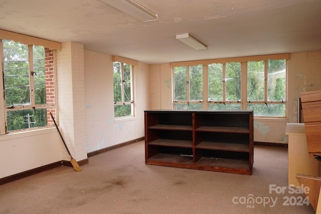 interior space featuring a wealth of natural light and carpet flooring