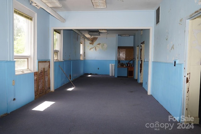 carpeted empty room with a wealth of natural light