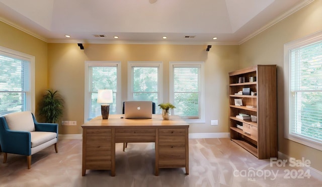 carpeted office with lofted ceiling and ornamental molding