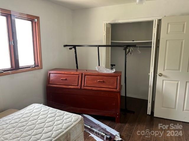 bedroom featuring multiple windows, dark hardwood / wood-style floors, and a closet