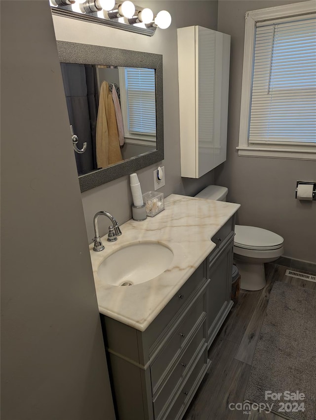 bathroom featuring vanity, toilet, and wood-type flooring