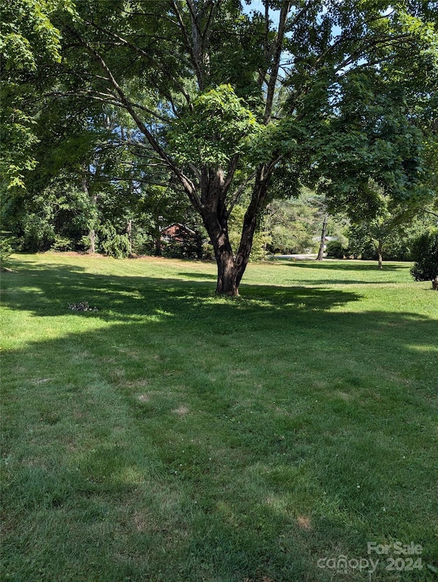 3106 Brevard Rd, Hendersonville, NC 28791 - photo 19