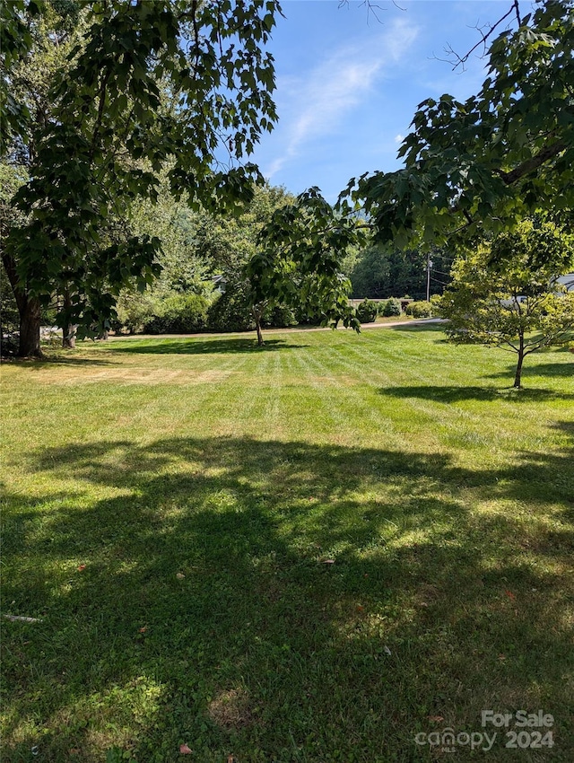 3106 Brevard Rd, Hendersonville, NC 28791 - photo 20