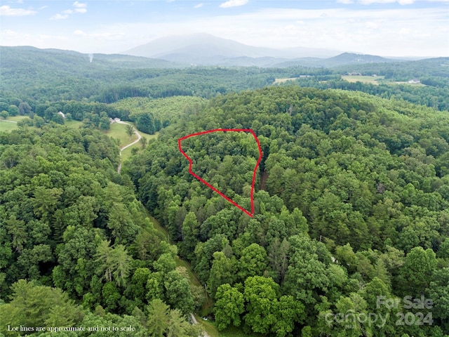 000 Riverview Dr, Marion NC, 28752 land for sale