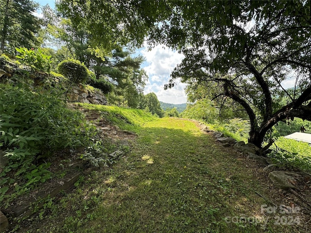 view of local wilderness