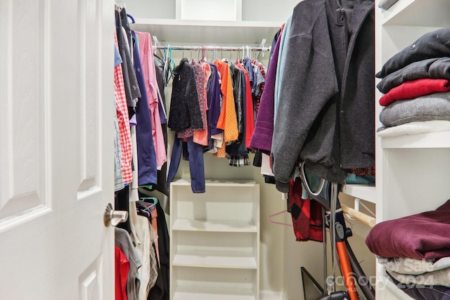 view of spacious closet