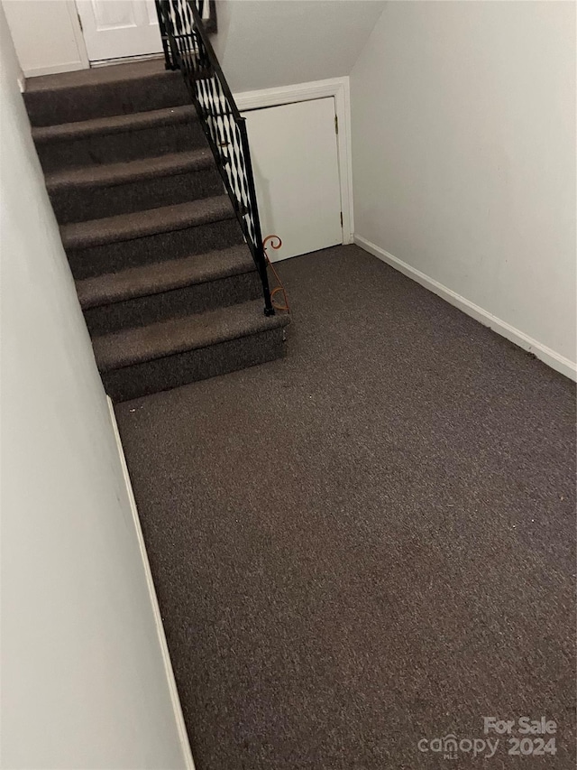 stairs with carpet