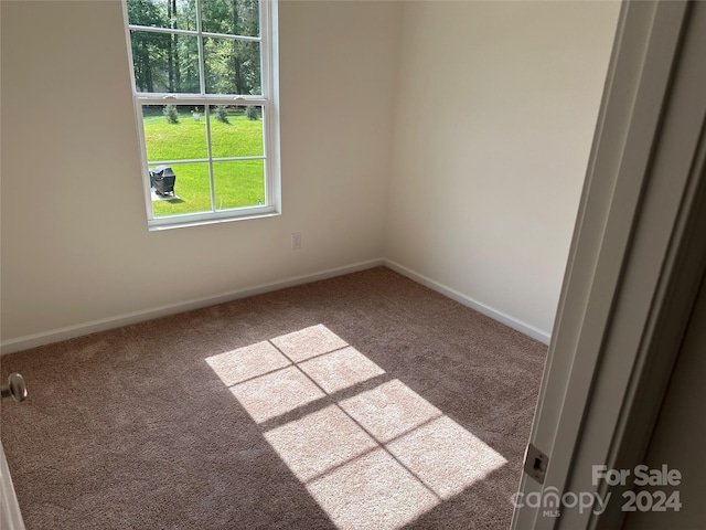 empty room featuring carpet