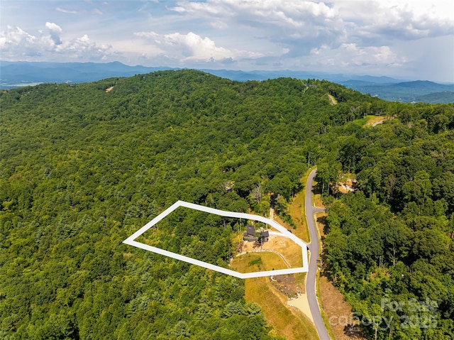 birds eye view of property featuring a forest view and a mountain view