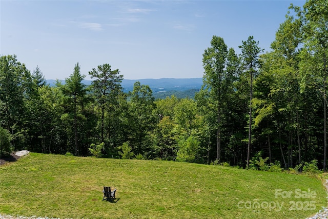 property view of mountains featuring a forest view