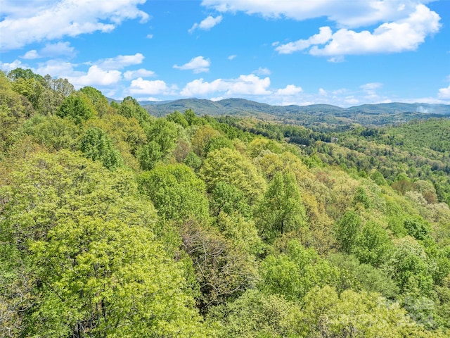 9999 Gouges Creek Rd, Spruce Pine NC, 28777 land for sale