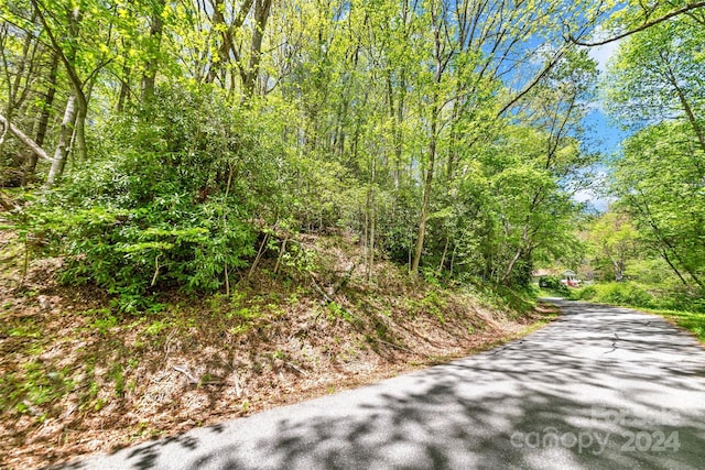 Listing photo 3 for 9999 Gouges Creek Rd, Spruce Pine NC 28777