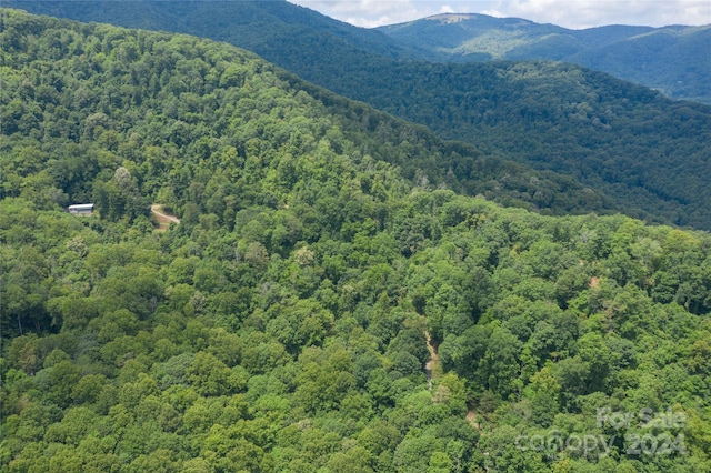 8LOTS Pot Leg Rd, Waynesville, NC 28751 - photo 4