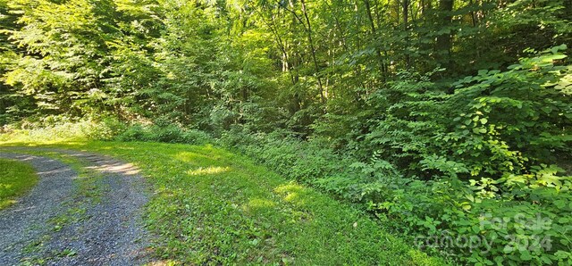 8LOTS Pot Leg Rd, Waynesville, NC 28751 - photo 6