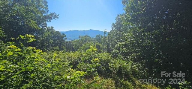 8LOTS Pot Leg Rd, Waynesville, NC 28751 - photo 7