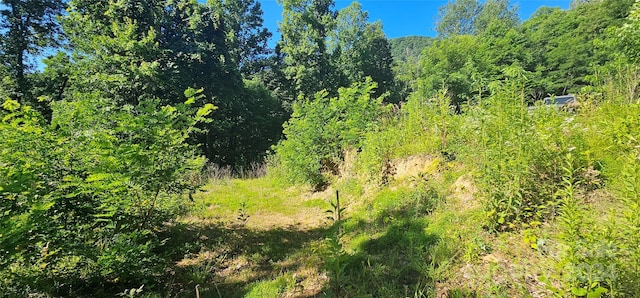 8LOTS Pot Leg Rd, Waynesville, NC 28751 - photo 8